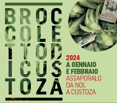 Immagine broccoletto 2024