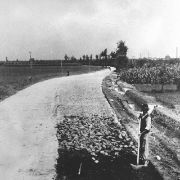 115 - Ampliamento e sistemazione della strada Molinara nuova per ampliamento strada per Bussolengo, eseguiti dalla locale Cooperativa di disoccupati nel 1952.