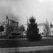 293 - Giardini Piazza Repubblica Sommacampagna (con albero di pino in primo piano)