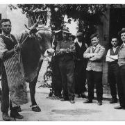 118 - Presentazione di un bovino della Macelleria Zanardelli (in Via Zanardelli e Via Pasquetti) alla presenza di autorità locali
