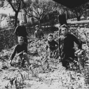 4 - Scolari balilla della locale scuole elementare intenti alla coltivazione dell'orticello di guerra.  Anno 1942