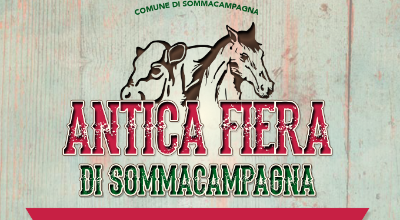 Immagine Antica Fiera 2025 Immagine Antica Fiera 2025